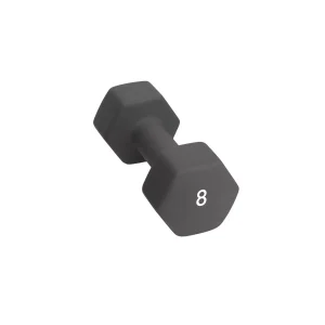 Abilica Dumbbell 8 Kg
