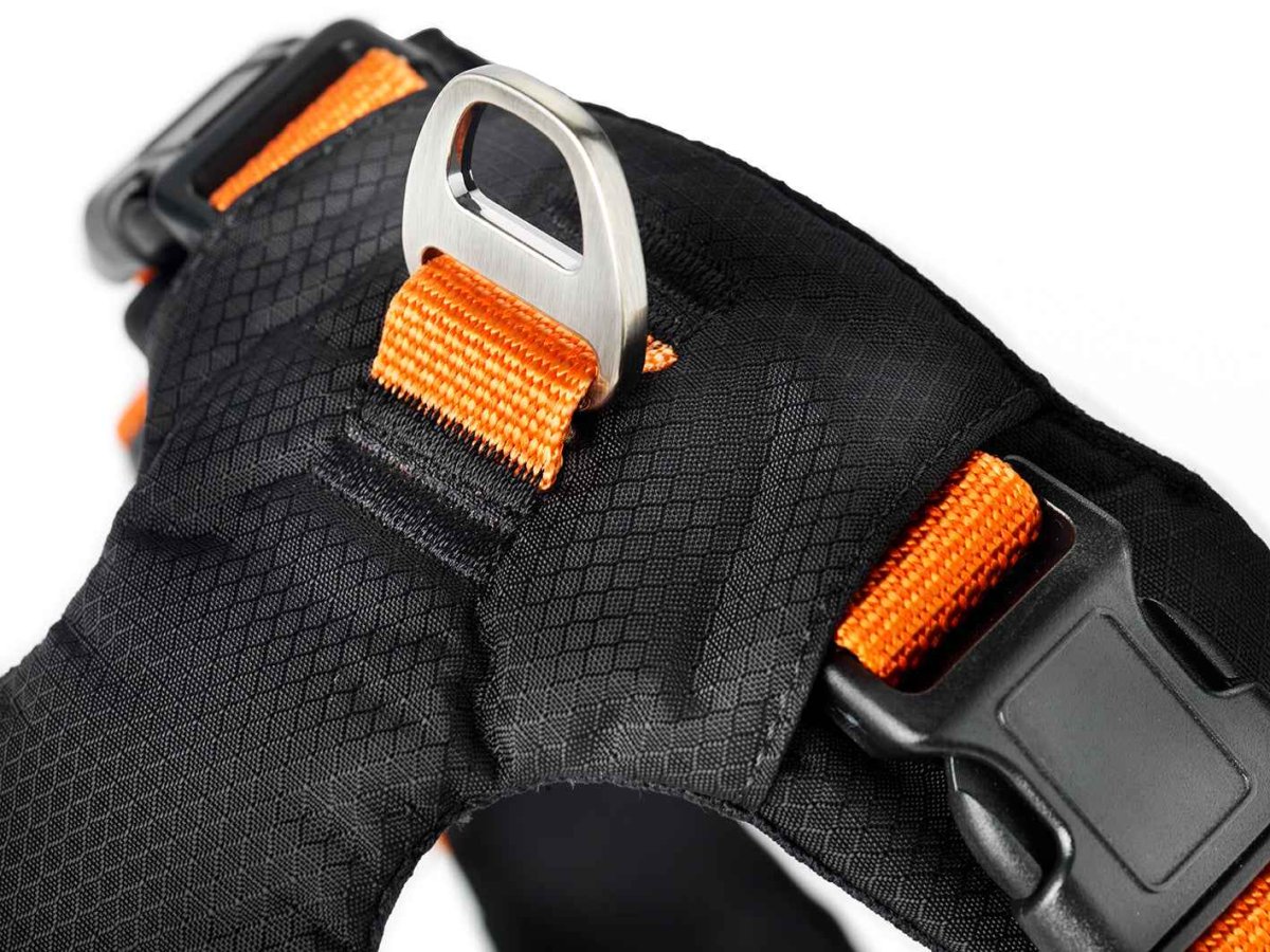 Sportsele Emmi Orange Small - Image 4