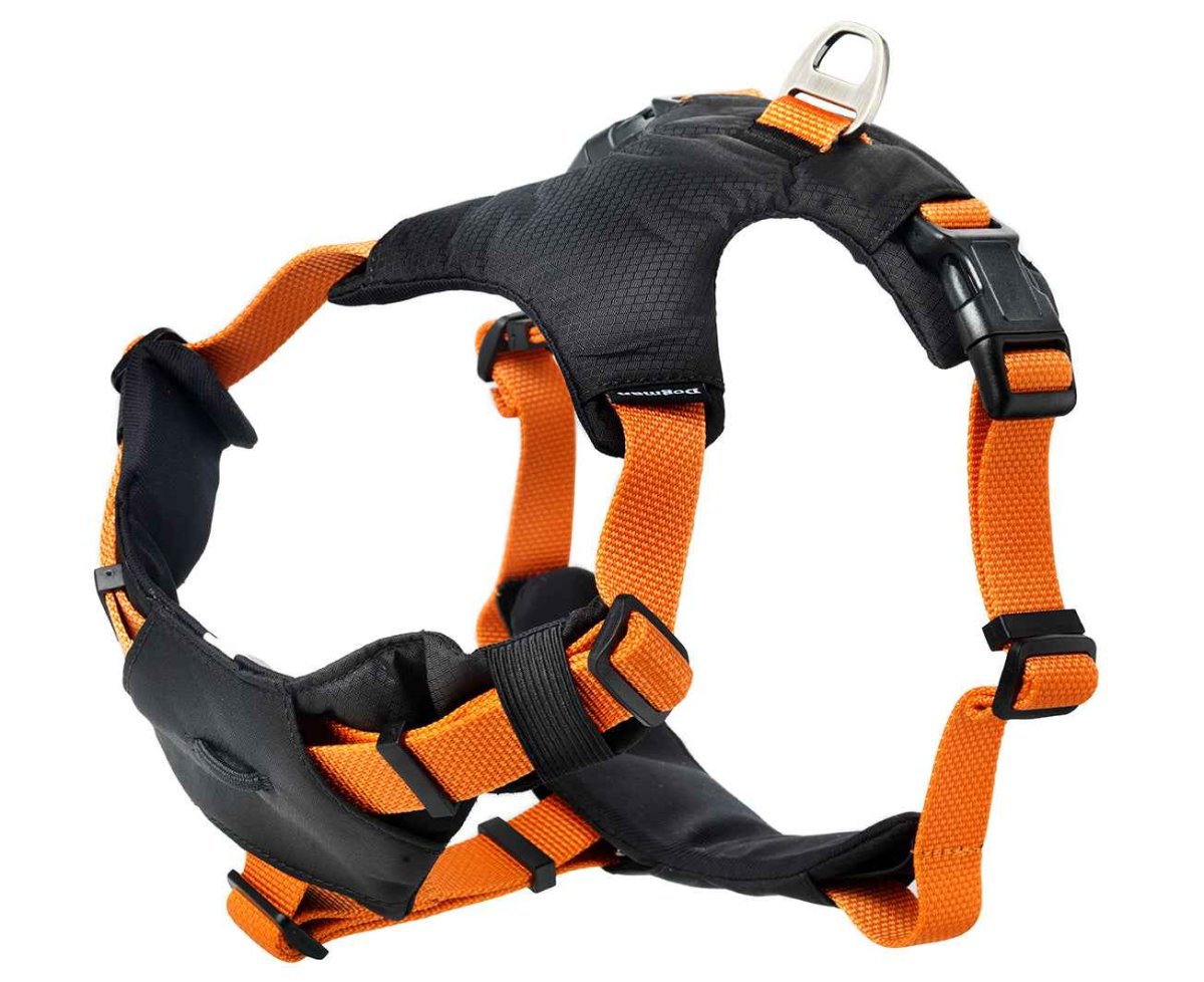 Sportsele Emmi Orange Small - Image 5