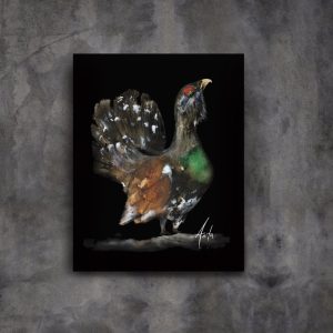 Tiur (sort bakgrunn)